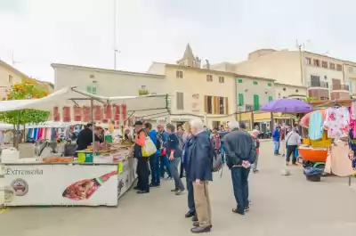 Sineu local Market